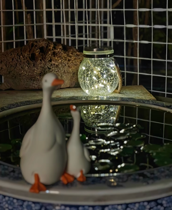 ພົບກັບຄືນ poetic! ຄວາມສະຫວ່າງຂະຫນາດນ້ອຍຂະຫນາດນ້ອຍທີ່ສະຫງ່າງາມເປັນມູມໂລແມນຕິກຈຸນລະພາກ